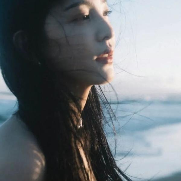 不完美的正义